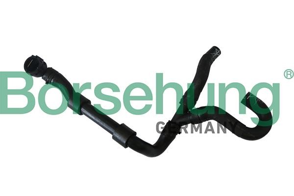 Borsehung B11987 Radiator hose B11987