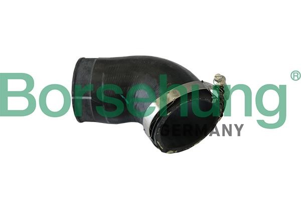 B11973 Borsehung Intercooler pipe
