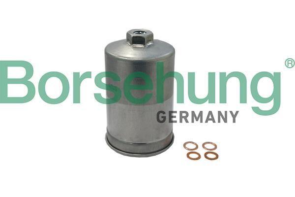 Borsehung B19091 Fuel filter B19091