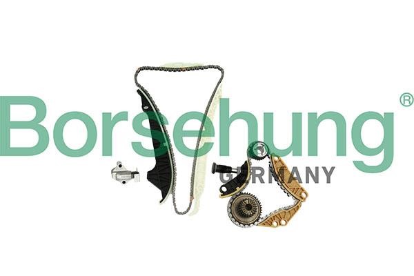 Borsehung B10220 Timing chain kit B10220
