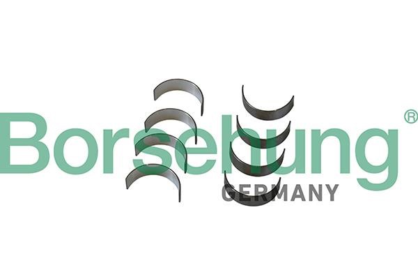 B11332 Borsehung Big End Bearings