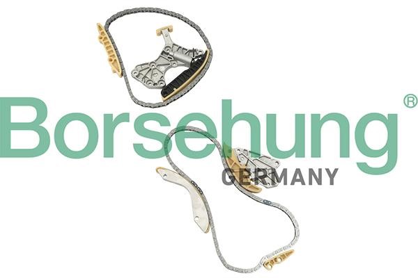 B18844 Borsehung Timing chain kit