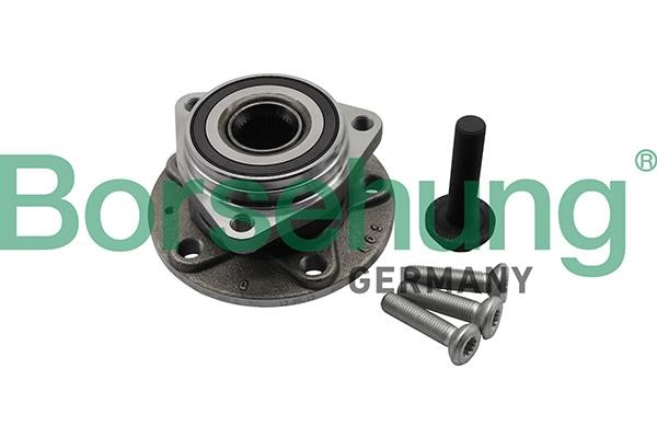 Borsehung B19311 Wheel bearing kit B19311