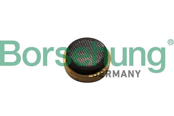 B11897 Borsehung Oil Filter