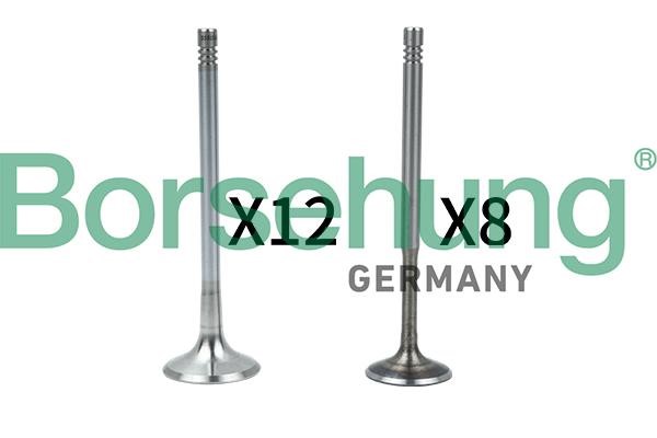Borsehung B18636 Valve B18636 B18636 Borsehung Valve