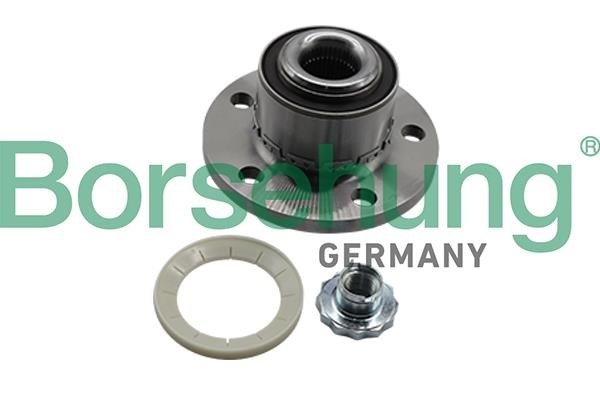 Borsehung B19309 Wheel bearing kit B19309