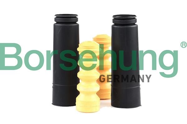 Buy Borsehung B10020 at a low price in United Arab Emirates!