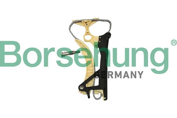 Timing chain set BMW 3 series: B18854 Borsehung Timing chain kit