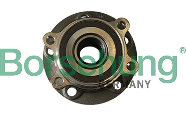 Borsehung B11290 Wheel bearing kit B11290