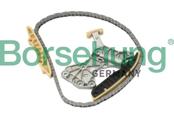 Borsehung B10205 Timing chain kit B10205