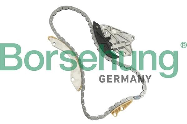 Borsehung B10206 Timing chain kit B10206