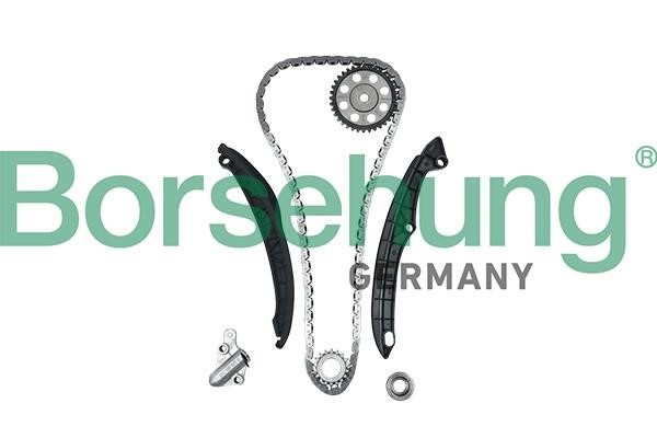 Timing chain kit Seat Ibiza: B18824 Borsehung Timing chain kit