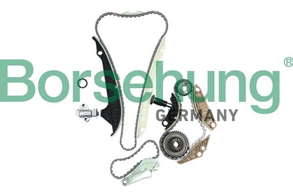 Borsehung B19209 Timing chain kit B19209