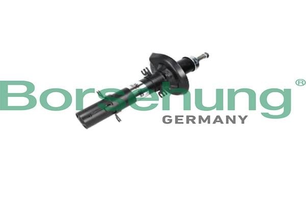 Borsehung B18686 Front oil and gas suspension shock absorber B18686