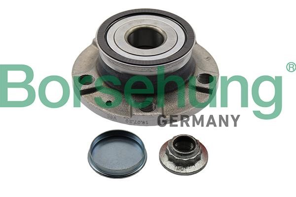 Borsehung B11287 Wheel bearing kit B11287
