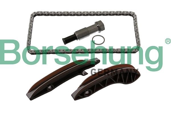 B10202 Borsehung Timing chain kit