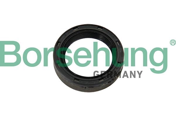 Borsehung B12192 Ring sealing B12192