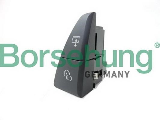 Borsehung B18599 Multi-Function Switch B18599