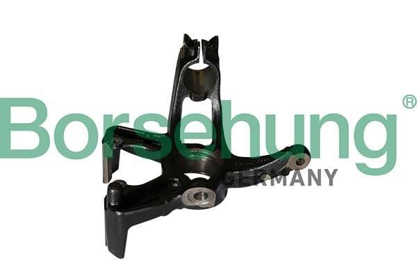 B12112 Borsehung Knuckle swivel