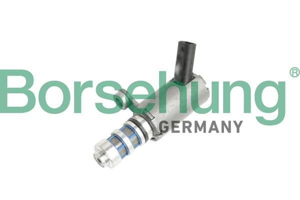 Borsehung B11858 Camshaft adjustment valve B11858