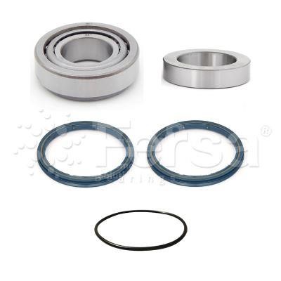 Fersa WK00488 Wheel bearing kit WK00488