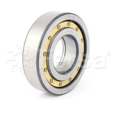 Fersa NUP 310 FM/C3 Gearbox bearing NUP310FMC3