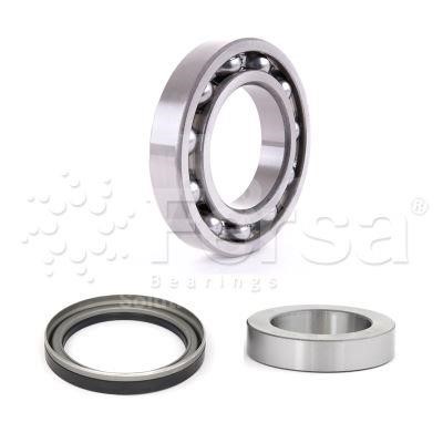 Fersa WK00523 Wheel bearing kit WK00523