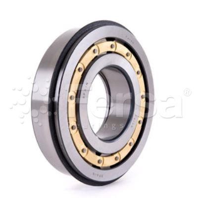 F19070 Fersa Bearing