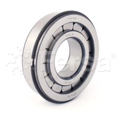 F19076 Fersa Bearing Differential