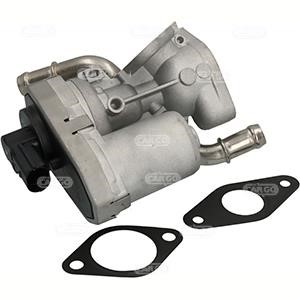 Cargo 182425 EGR Valve 182425