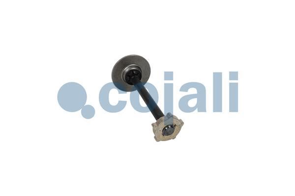 Cojali 6084573 Repair Kit, brake caliper 6084573