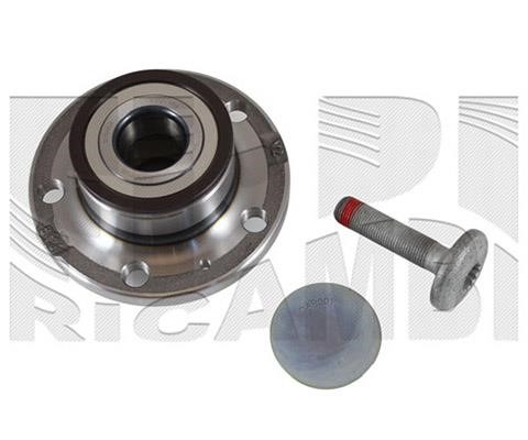 Caliber RC1100 Wheel bearing RC1100