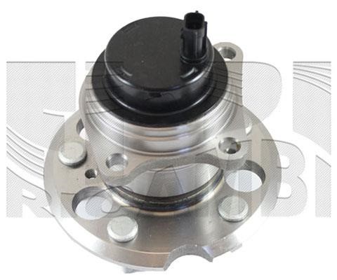 Caliber RC10651 Wheel bearing kit RC10651