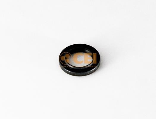 239344 C.E.I. Oil seal