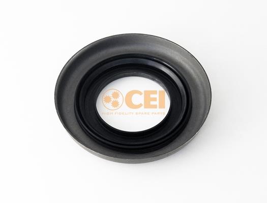 239130 C.E.I. Shaft Seal, differential