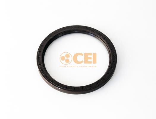 C.E.I. 239.150 Shaft Seal, differential 239150