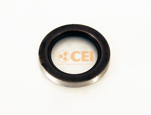 C.E.I. 139.909 Oil seal 139909
