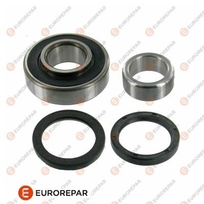 Eurorepar 1681956480 Wheel bearing kit 1681956480