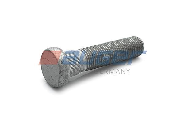 81140 Auger Bolt