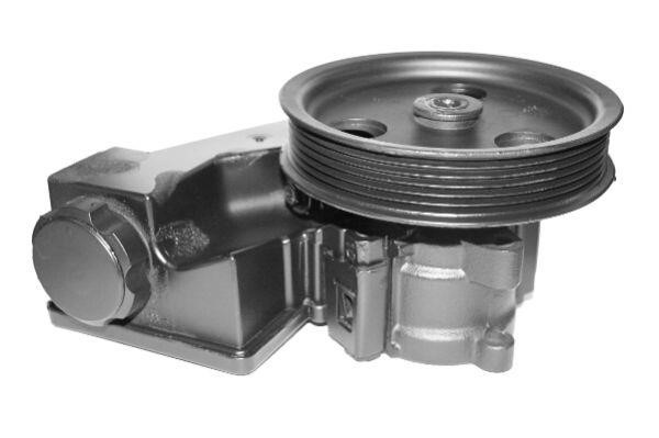 Lauber 55.1122 Power steering pump reconditioned 551122