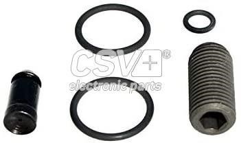 CSV electronic parts CRV1253 Fuel injector repair kit CRV1253