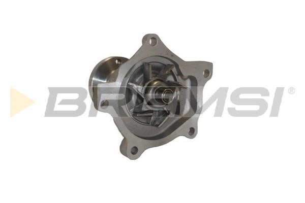 Bremsi WP0556 Water pump WP0556