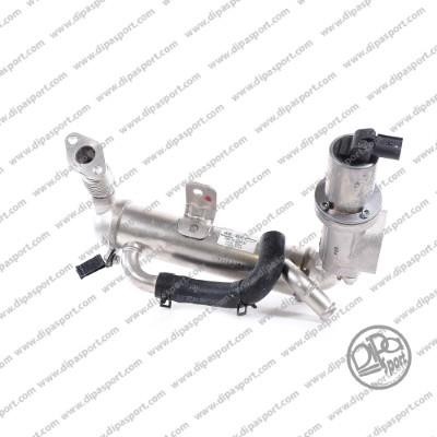 Dipasport EGR494N EGR Valve EGR494N