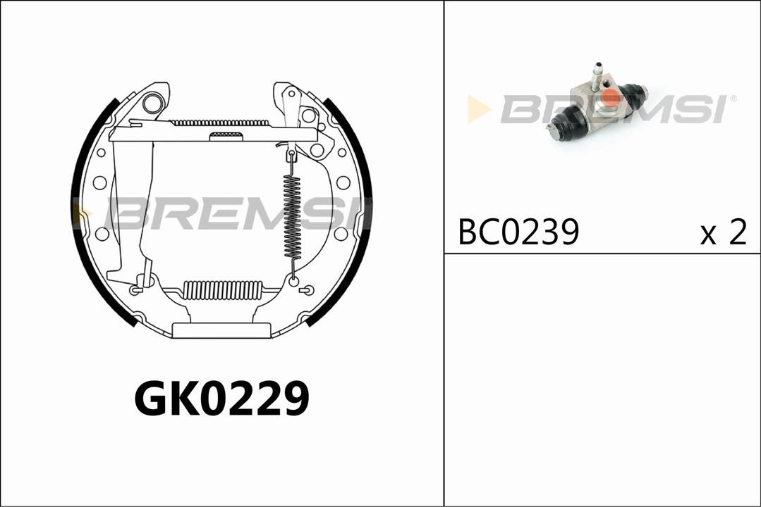 Bremsi GK0229 Brake shoe set GK0229