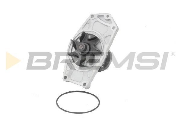 Bremsi WP0510 Water pump WP0510