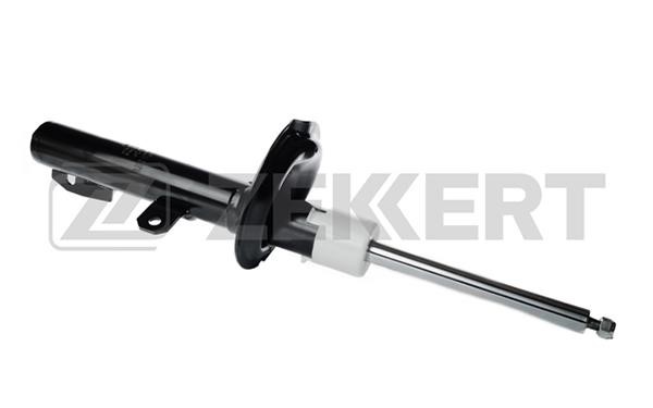 Zekkert SG4839 Front oil and gas suspension shock absorber SG4839