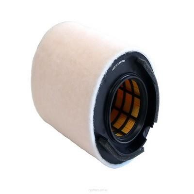 GCG Turbos Australia RY-A1564 Air filter RYA1564