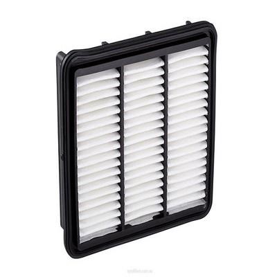 GCG Turbos Australia RY-A1561 Air filter RYA1561