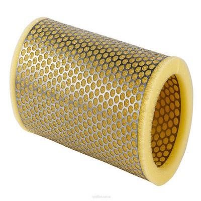 GCG Turbos Australia RY-A1691 Air filter RYA1691