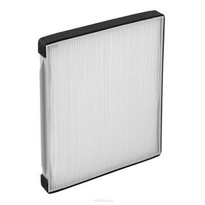 GCG Turbos Australia RY-RCA132P Filter, interior air RYRCA132P